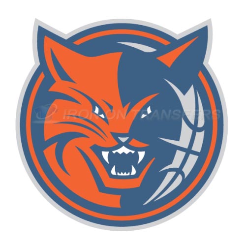 Charlotte Bobcats Iron-on Stickers (Heat Transfers)NO.929